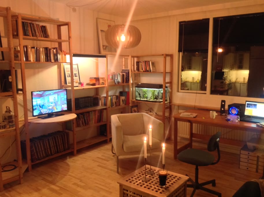 livingroom-area: relax with international tv, books, internet and more