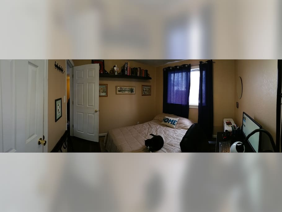 A comfy bed, a good living area, and a cat. What more could you ask for? The room itself comes with closet space, a work area for your laptop and productivity needs, and a full bed.