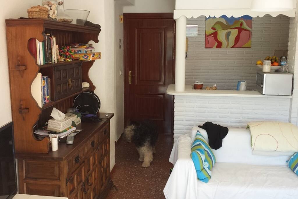 Salon y cocina americana. Living room and american kitchen.
