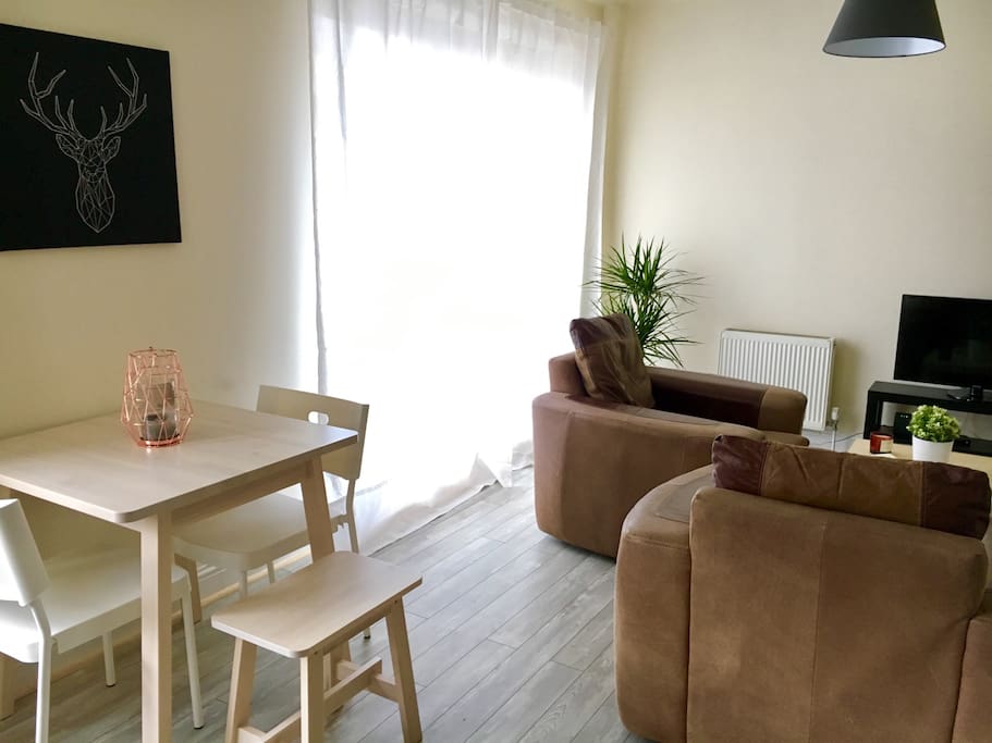 Cozy living room with Apple TV and WiFi hi-speed internet.