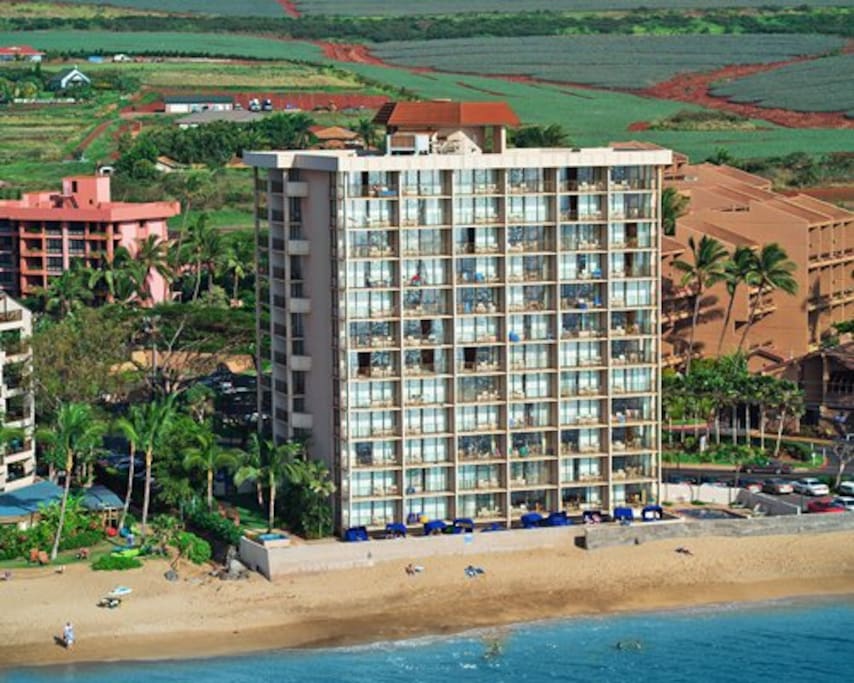 Aerial View of Resort