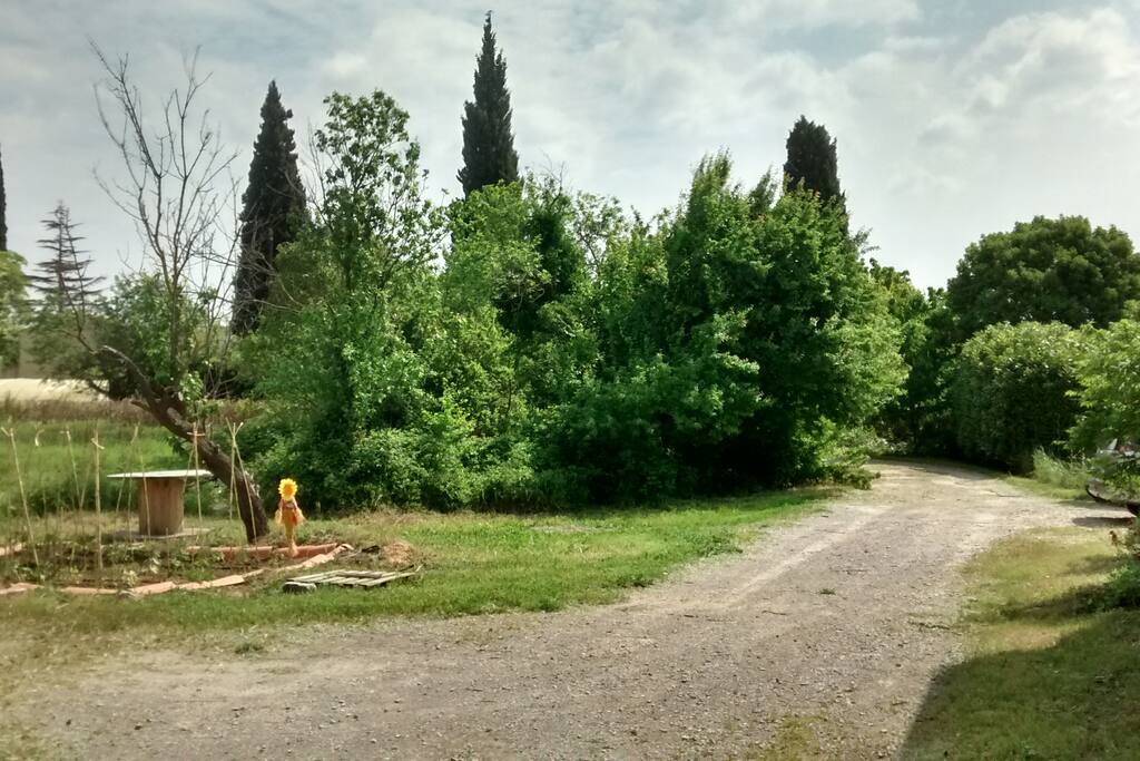 l'arrivee