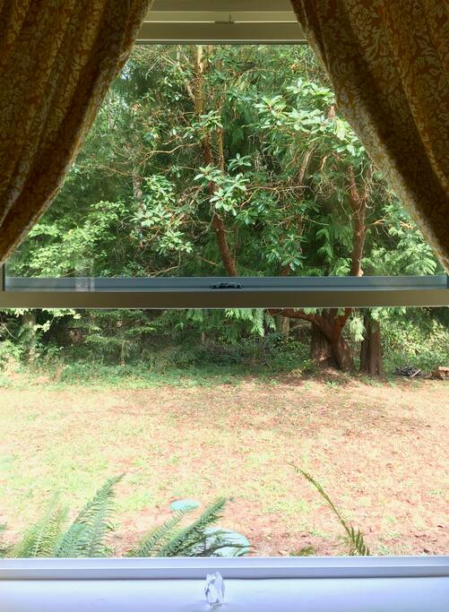 Window view