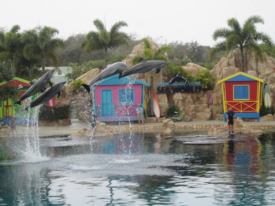 SeaWorld can be reached on foot from our home or directly on the 704 bus!