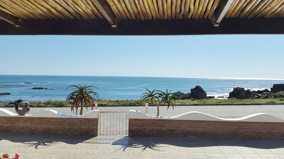 A panoramic view of the Atlantic Ocean is showcased from a sheltered patio. The scene features gentle waves lapping against rocky outcrops, with clear blue skies above. Succulent plants are placed near the edge, framing the entrance and enhancing the coastal atmosphere.