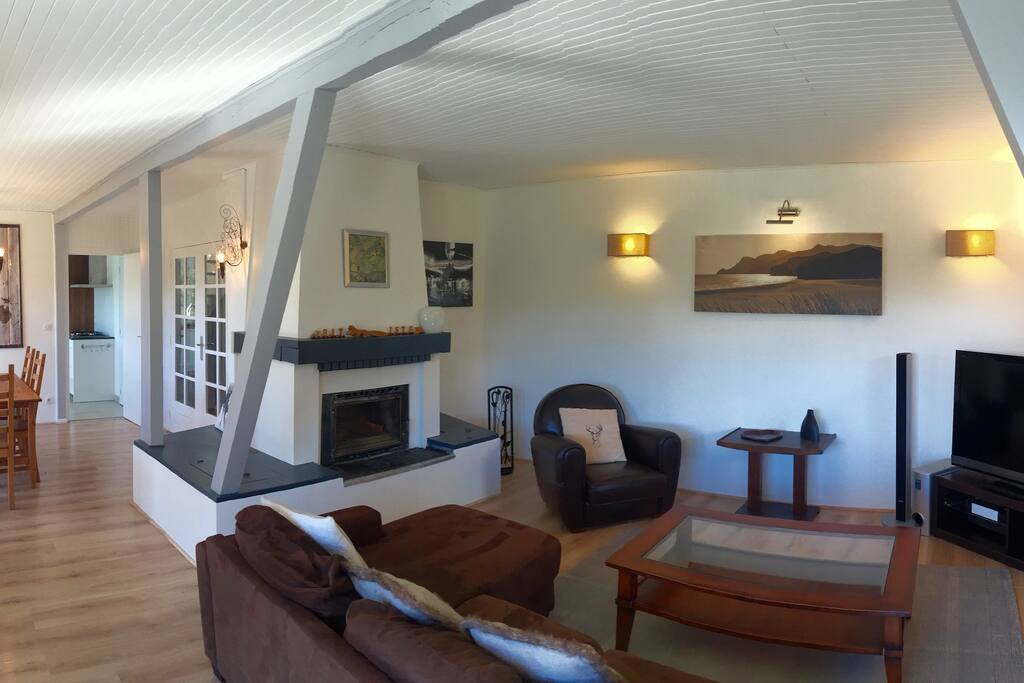 Living room - Fireplace