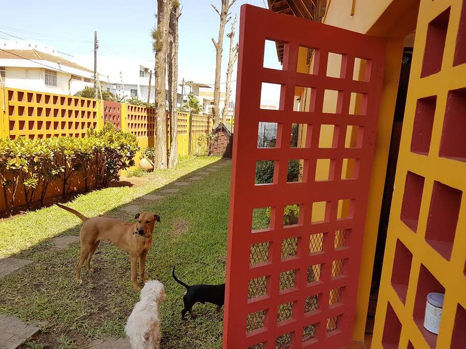 *Dogs can be enclosed to a separate part of the garden if really needed