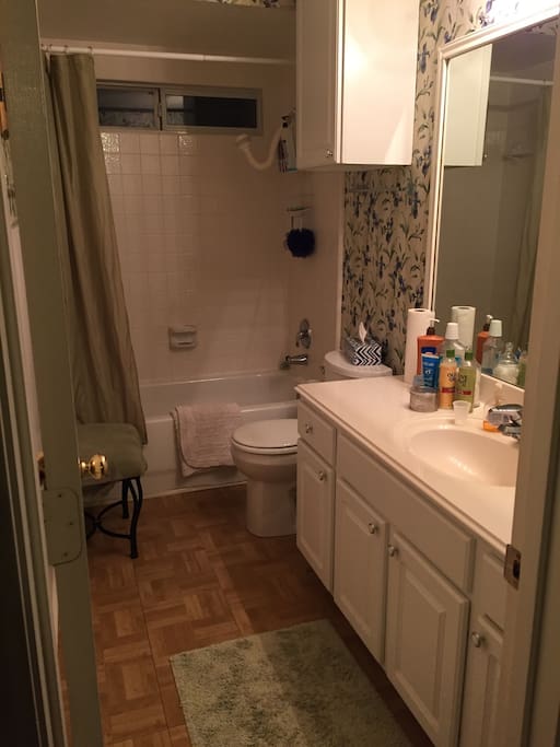 Hall bathroom