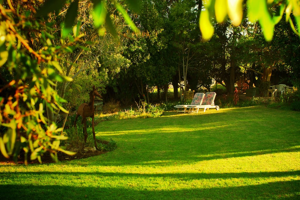 The Gardens