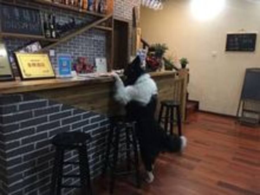 我们的前台提供专业的服务,你们提出的任何要求,我们都会尽我们最大的能力来满足你们