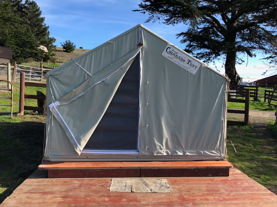 Our brand new Tree Frog tent