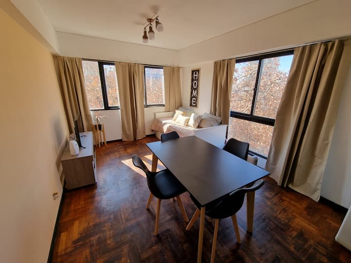 Centrally located Mendoza apartment