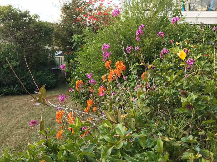A backyard full of old world flowers
