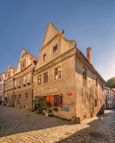 House in the center with cafe on the ground floor