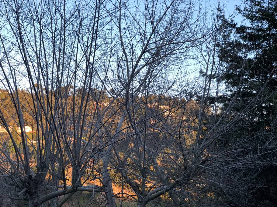 East Bay Hills View