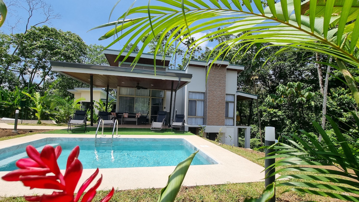 A modern villa is seen surrounded by lush greenery, featuring a clear swimming pool in the foreground. Comfortable loungers are positioned by the poolside, and large windows provide a view of the indoor living space. Tropical plants frame the scene, enhancing the natural setting.