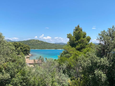 Quiet and comfortable apartment Mali Iž