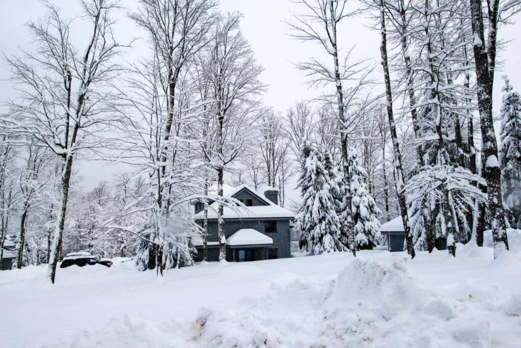 Snowy condo!! The lower level is ours. Walk right out into the snow!
