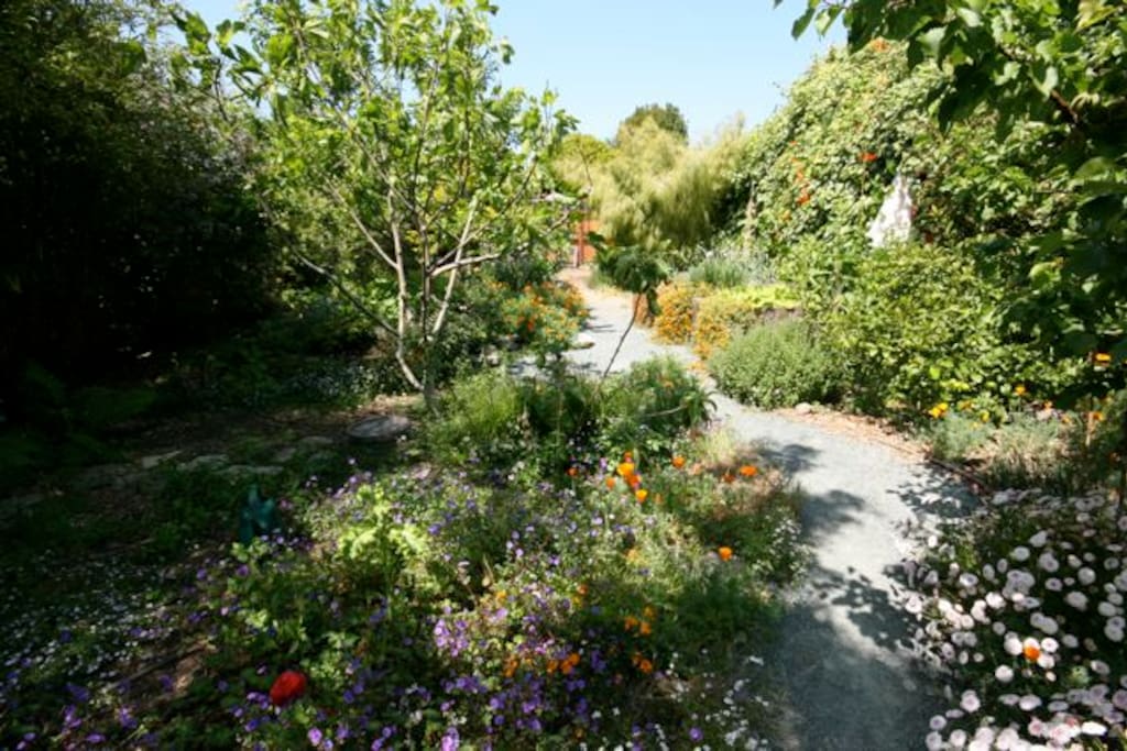 Garden in bloom