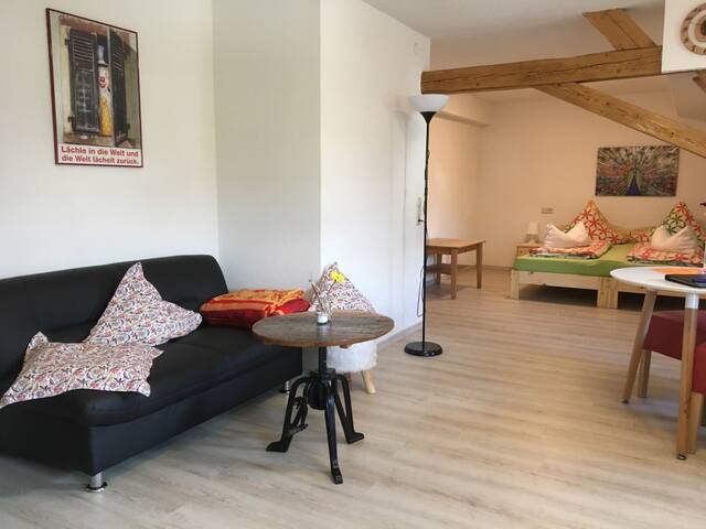 Apartment Malzacher Haus Jehle Apartment Schwarzwaldblick