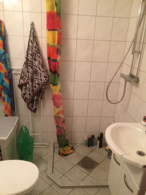 Bathroom. Shower, toilet and sink