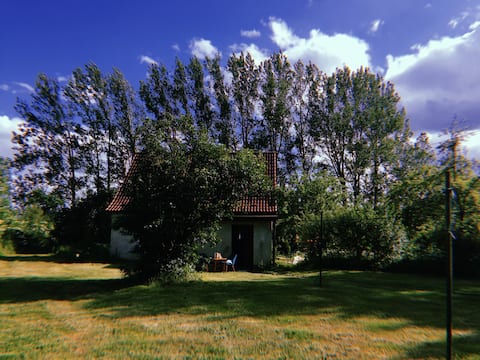 Wonderful house with 4000 sqm natural garden