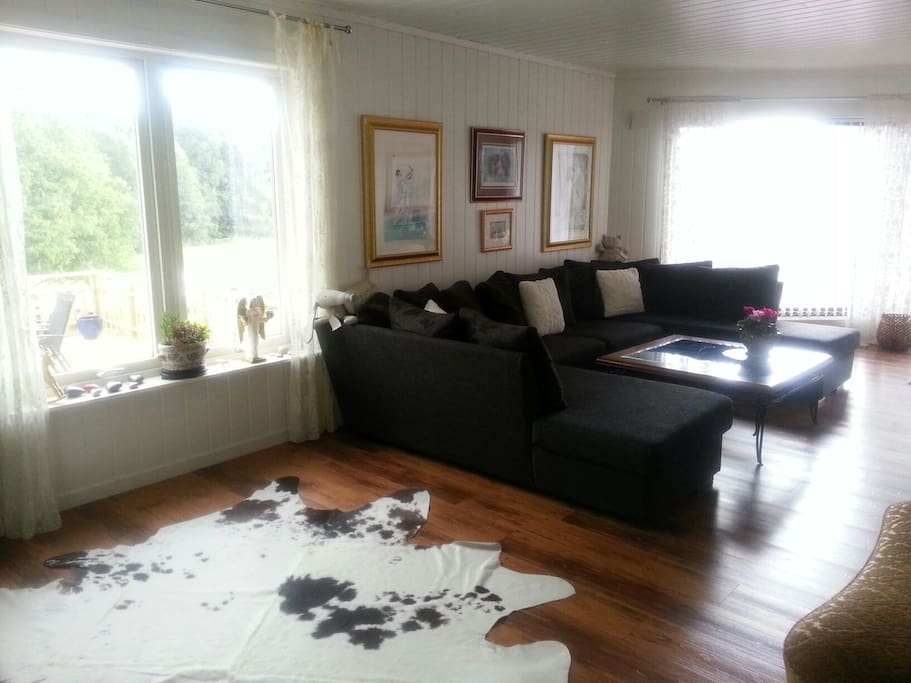 Livingroom with TV