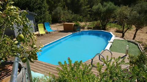 Single-family home with pool