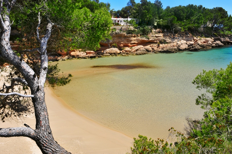 A tranquil cove features calm, clear turquoise waters, bordered by rocky outcrops and sandy shores. Lush greenery and trees provide a natural frame, creating a serene setting. The coastline offers a blend of sand and gentle waves, inviting relaxation and exploration.