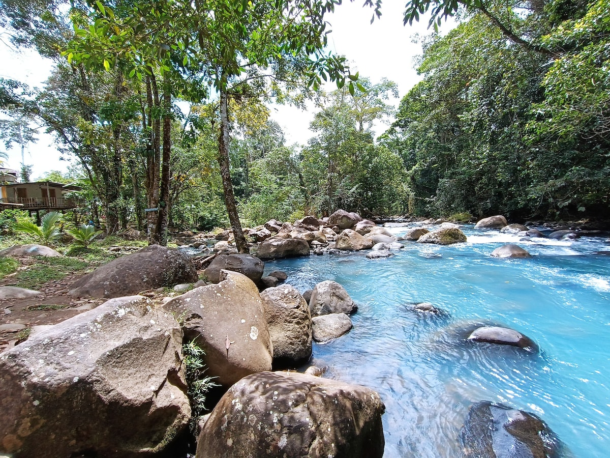 A serene river flows past smooth, rounded stones surrounded by lush greenery. Tall trees create a natural canopy above, while the clear blue water reflects the sunlight. A wooden structure is visible in the background, blending harmoniously with the landscape.