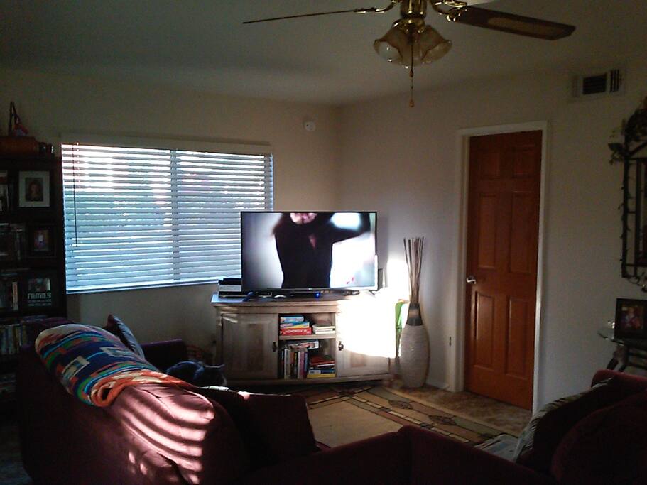 Smart TV with cable and WiFi