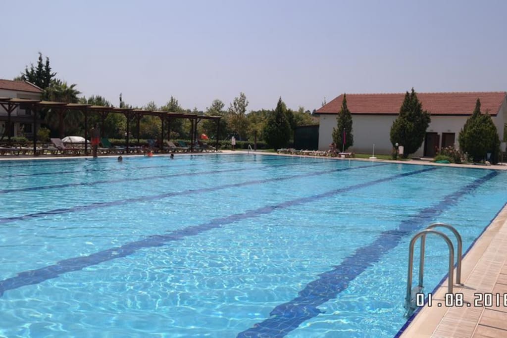 Nice olimpic size pool 2 mins walk