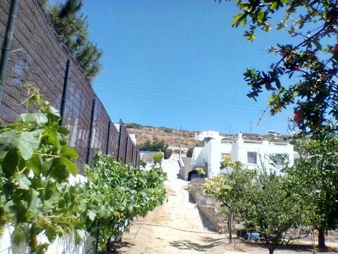 Nesaea apartment