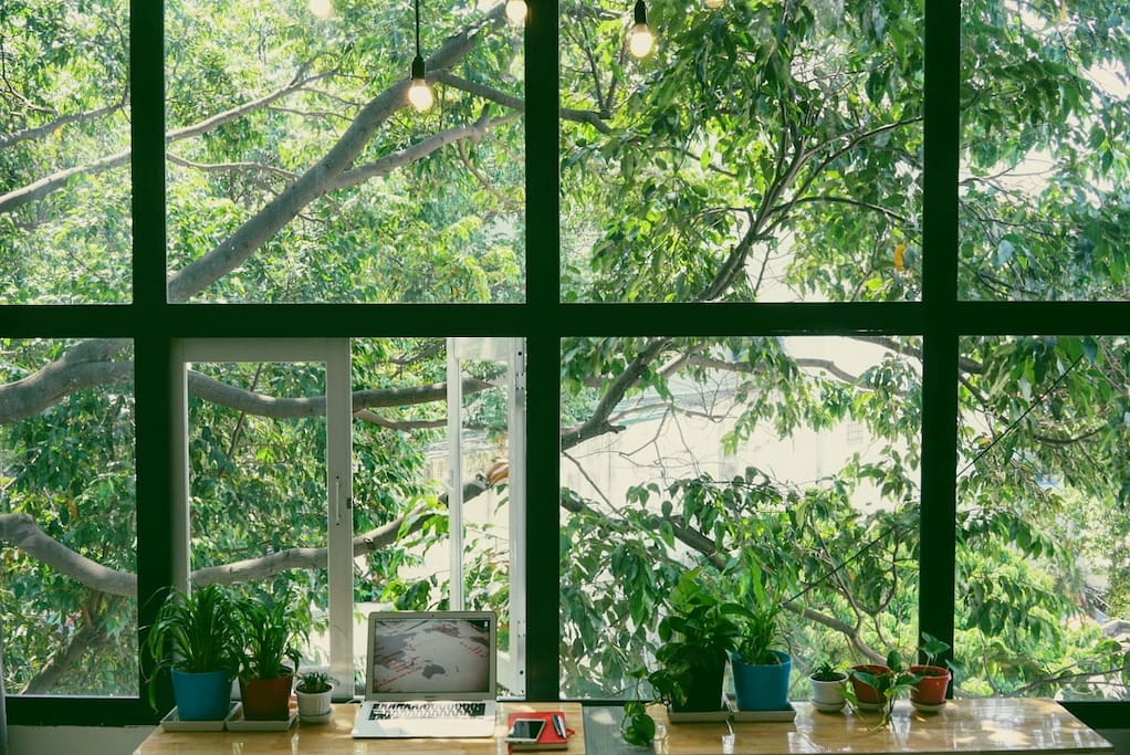 Amazing morning through green and nature window of Tree House !
Picture of Ayami (from Japan)