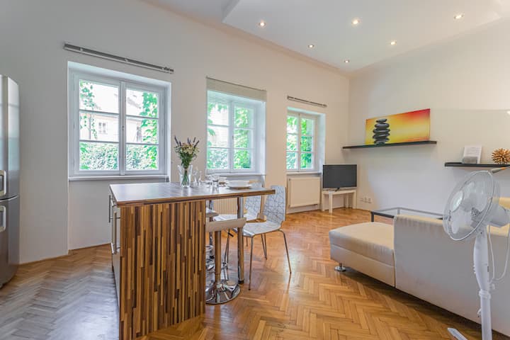 Josef Manes Birth House | Walkscore 99% | Old Town - Praga