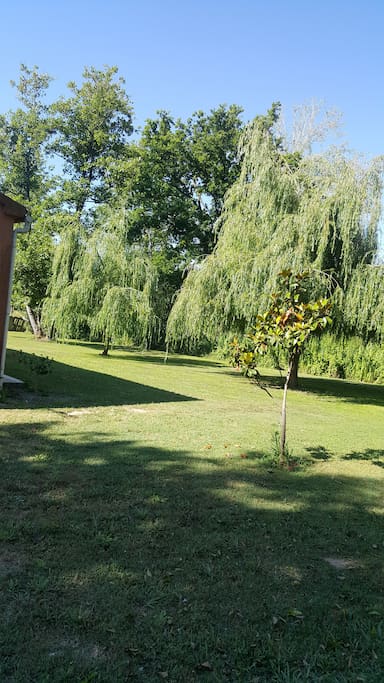 jardin