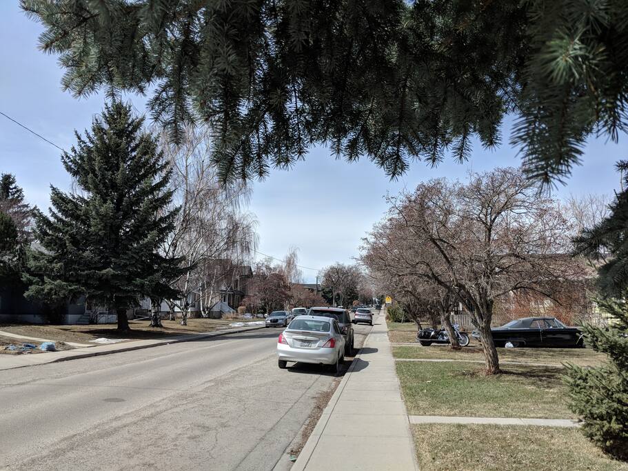 Quiet neighbourhood in Calgary inner city