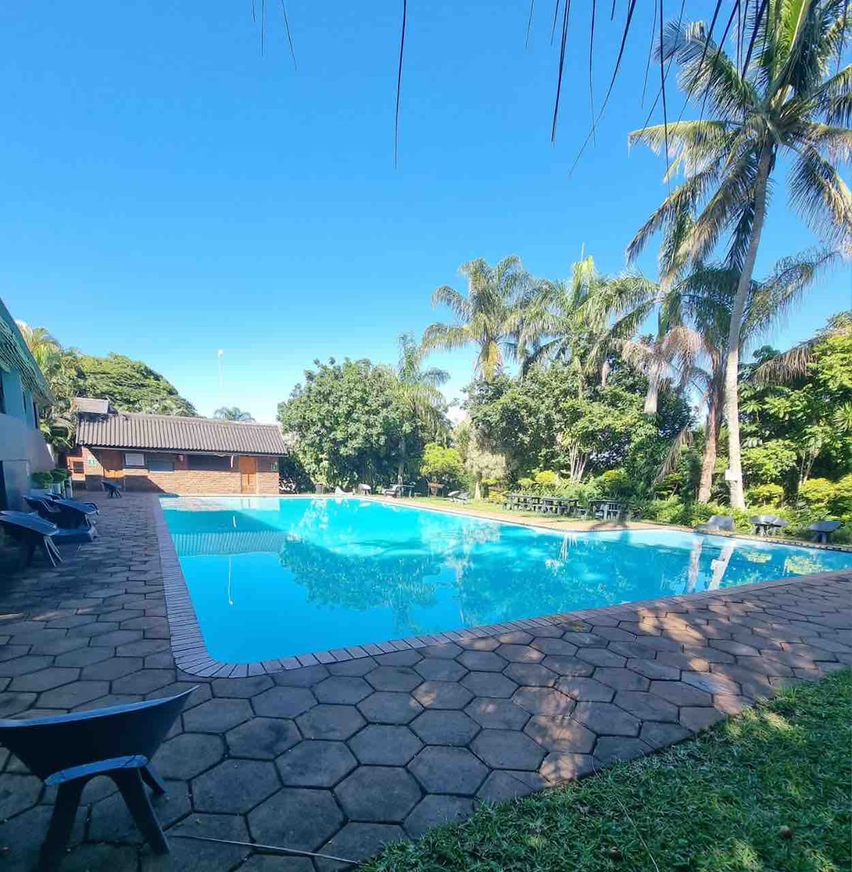 A large communal pool is surrounded by well-maintained gardens and tall palm trees. The pool's clear blue water reflects the sun, and a spacious deck with lounge chairs is situated around the edge, inviting relaxation in a serene atmosphere.
