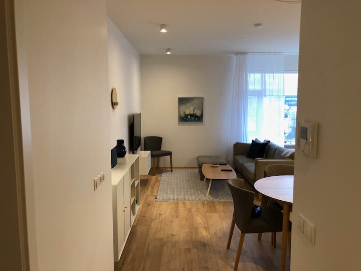 Modern Apartment Close To Centre And Sea - レイキャビク