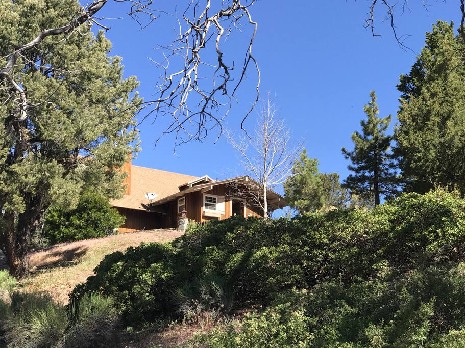 Home is truly isolated at the top of 2 1/2 acres.
