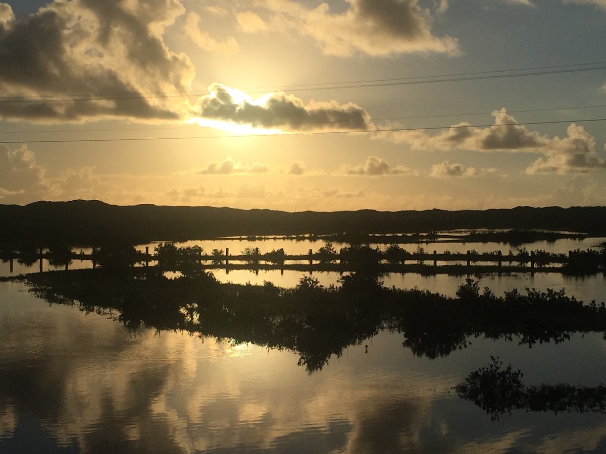 A serene landscape is depicted at sunset, with the sun casting warm light over tranquil waters. The reflective surface showcases silhouettes of vegetation, creating a peaceful atmosphere as soft clouds drift across the sky.
