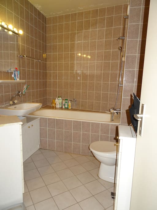 Salle de bain avec baignoire et toilettes.
Bathroom with bathtube and toilets.