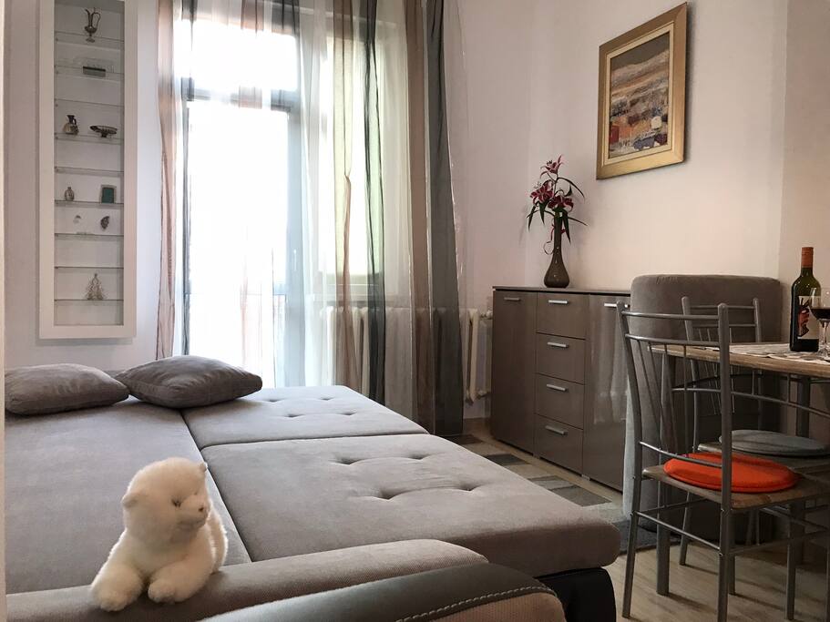 Living room with the unfolded sofa