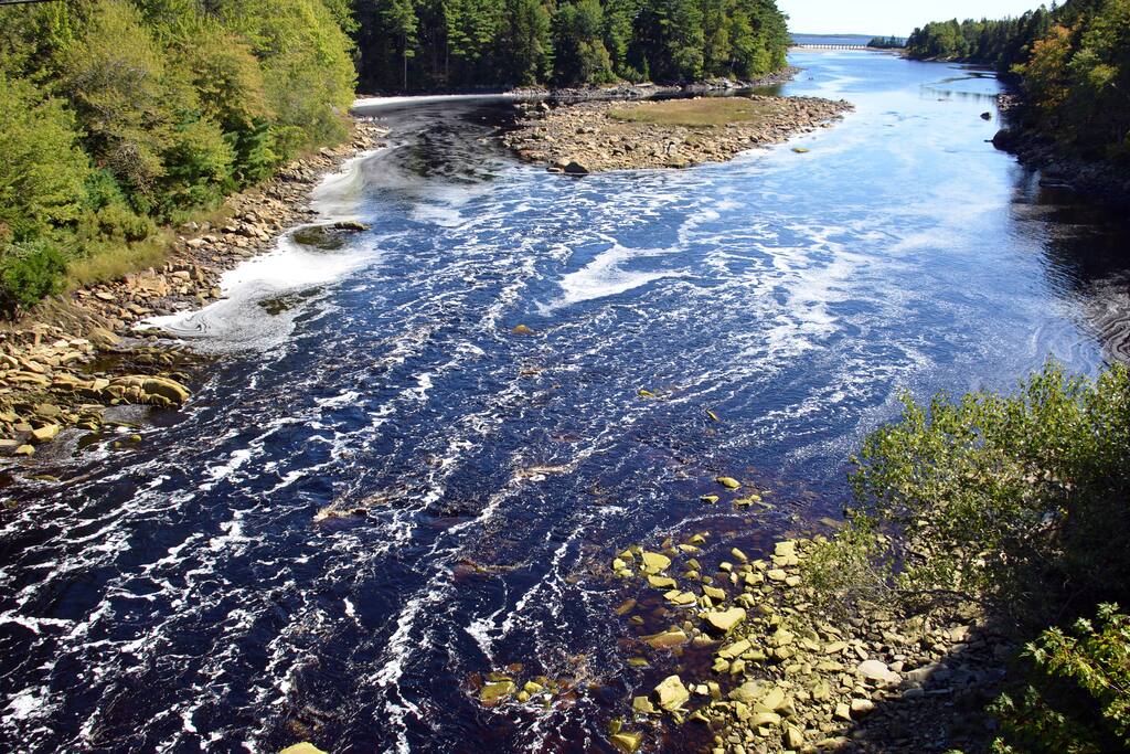 Broad River is a tidal river that runs out to the Atlantic Ocean at the south end of Summerville Beach Provincial Park.