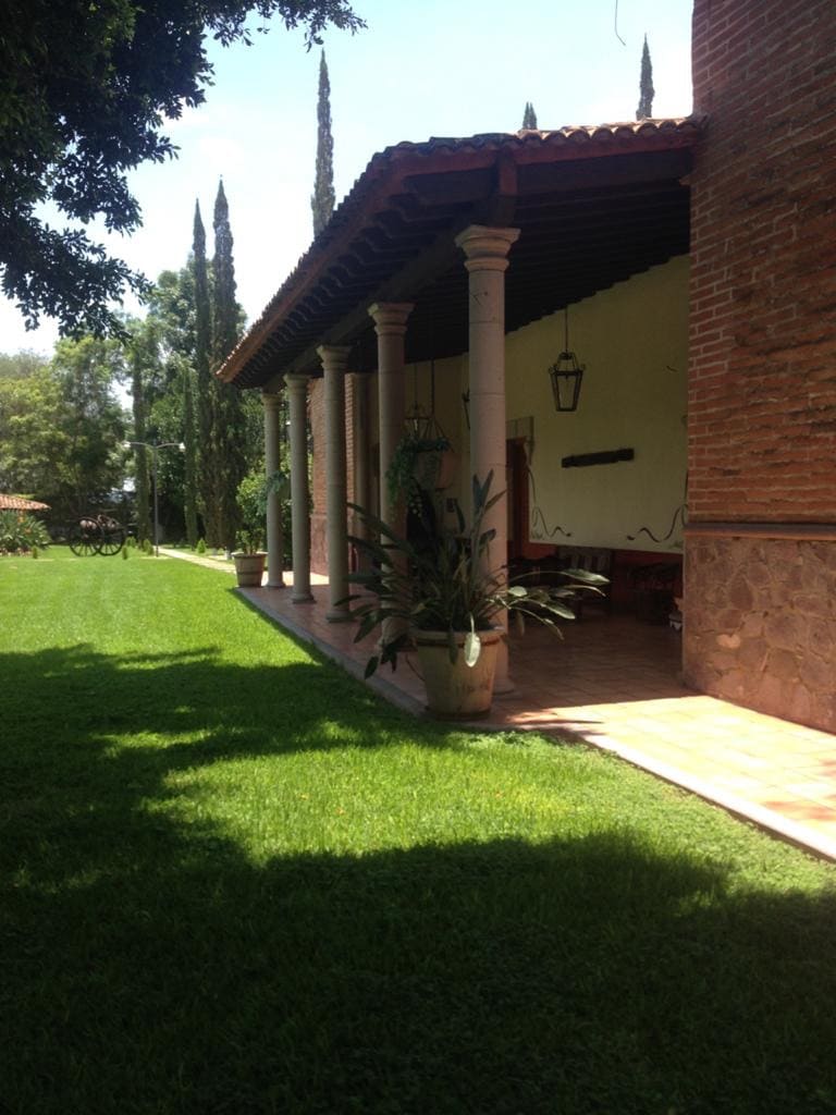 A shaded patio area is framed by tall columns supporting a tiled roof. Lush greenery surrounds the space, with well-maintained grass underfoot and decorative plants positioned in pots. Towering trees can be seen in the background, contributing to a serene environment.