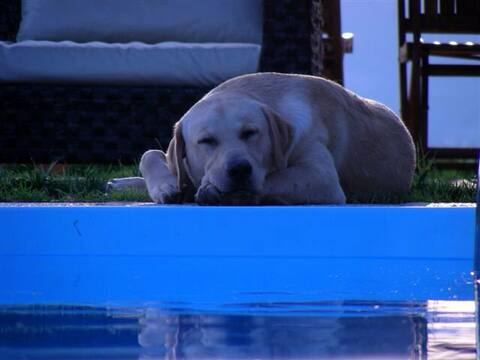 Ap. Girasoli, swimming pool, wifi, 2+3 pers.