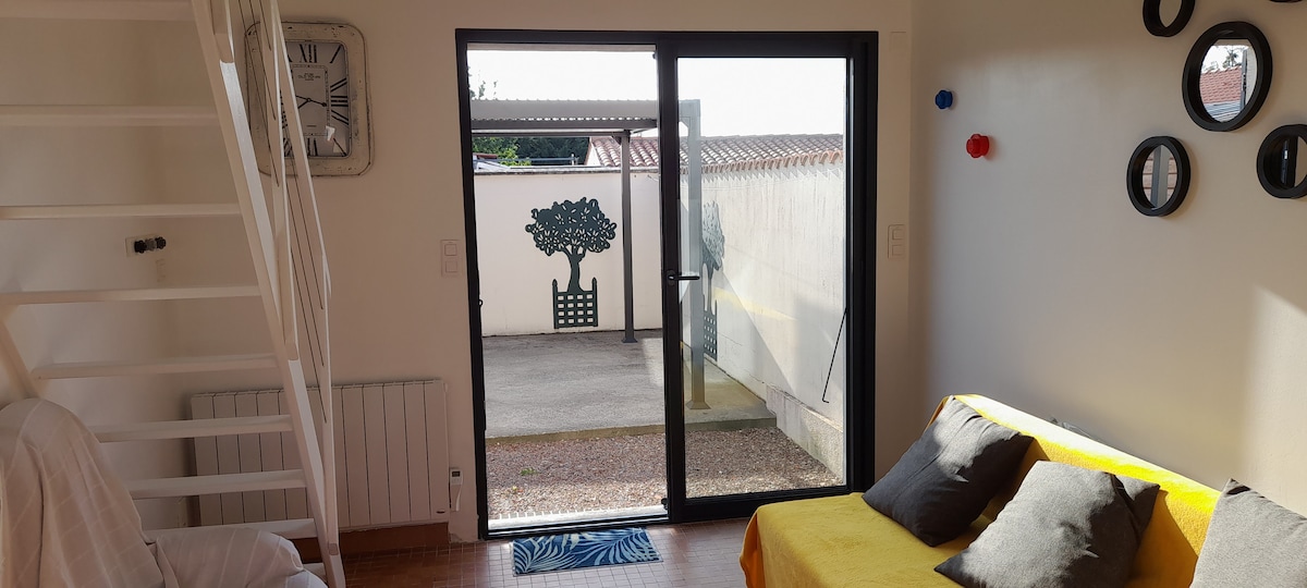 כילה נגד יתושים על חלון הזכוכית, הותקנה בשנת 2025