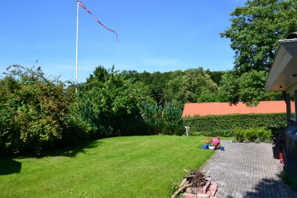 The small front lawn with a view to the woods