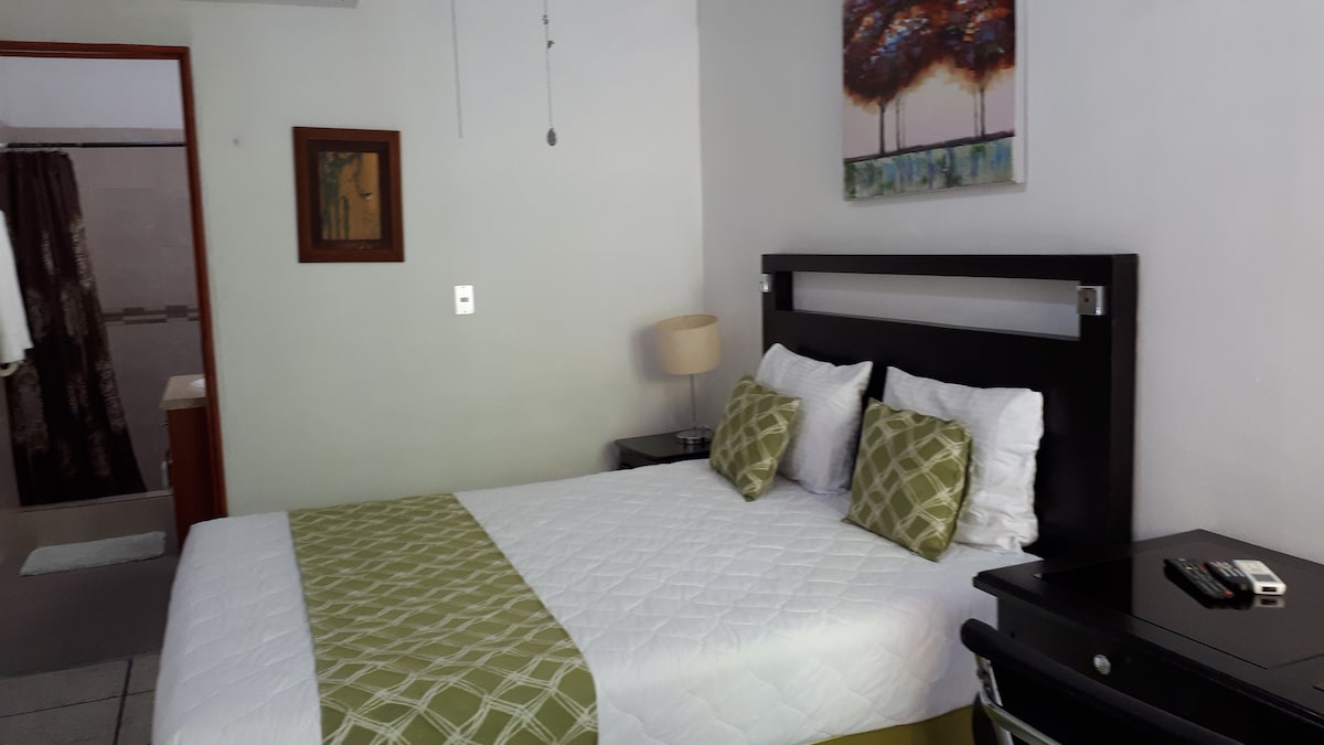 A standard room features a double bed with decorative pillows and a soft green coverlet. A bedside lamp and a black nightstand enhance functionality. A desk is positioned beside the bed. A bathroom area is visible in the background, with a shower curtain and towels accessible.
