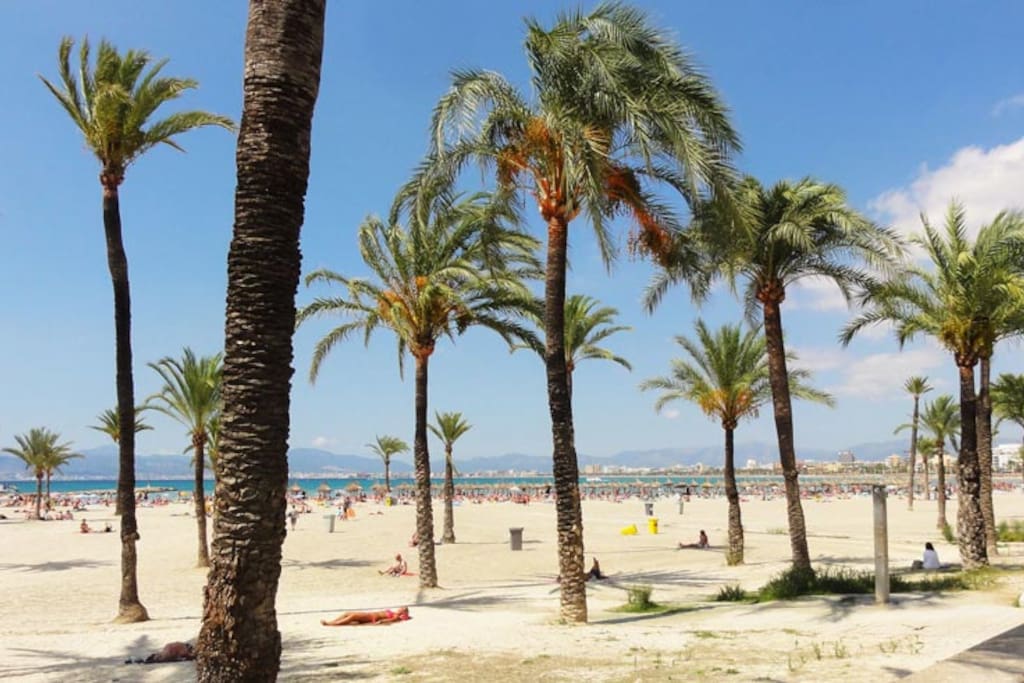 Appartamenti In Affitto Palma De Maiorca Appartamenti In Affitto Palma De Maiorca